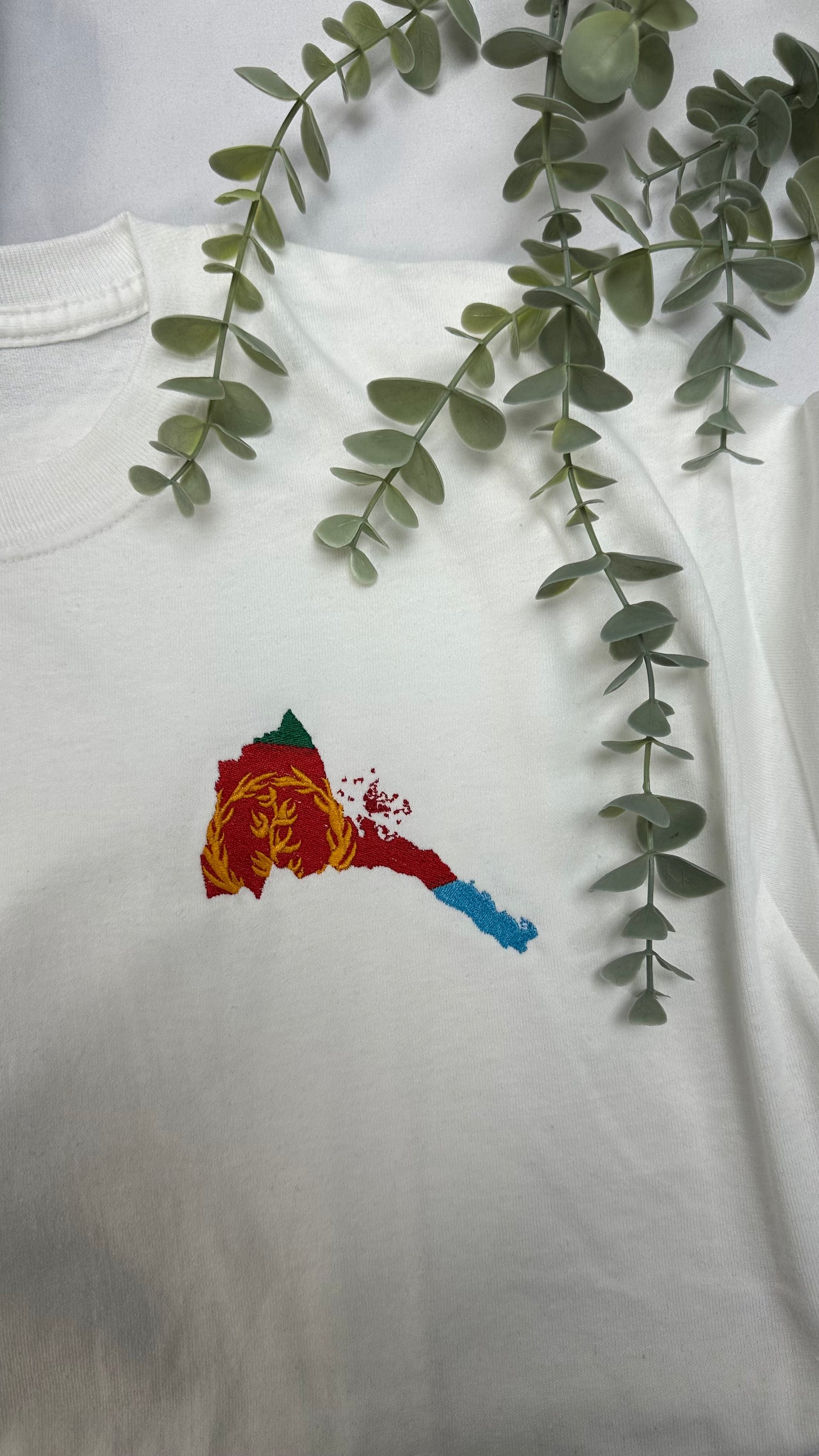 Eritrea Map + Flag